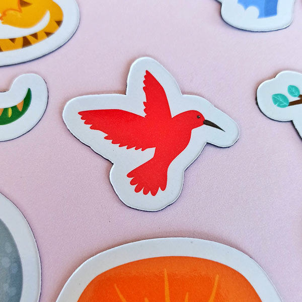 imanes-animales-selva-13